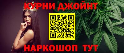 прущие крисы Камышлов