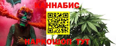 прущие крисы Камышлов