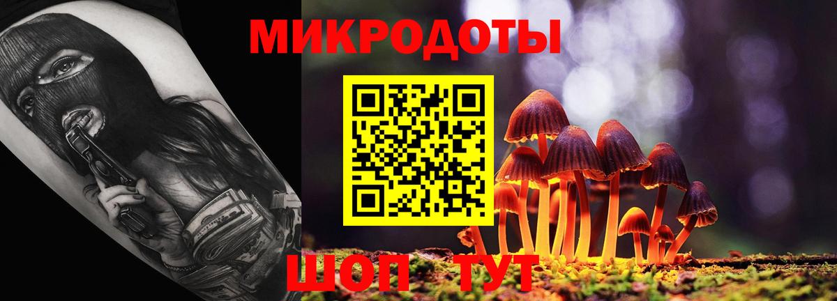 Ленинск-Кузнецкий  Галлюциногенные грибы Psilocybine cubensis  Вход с VPN 
