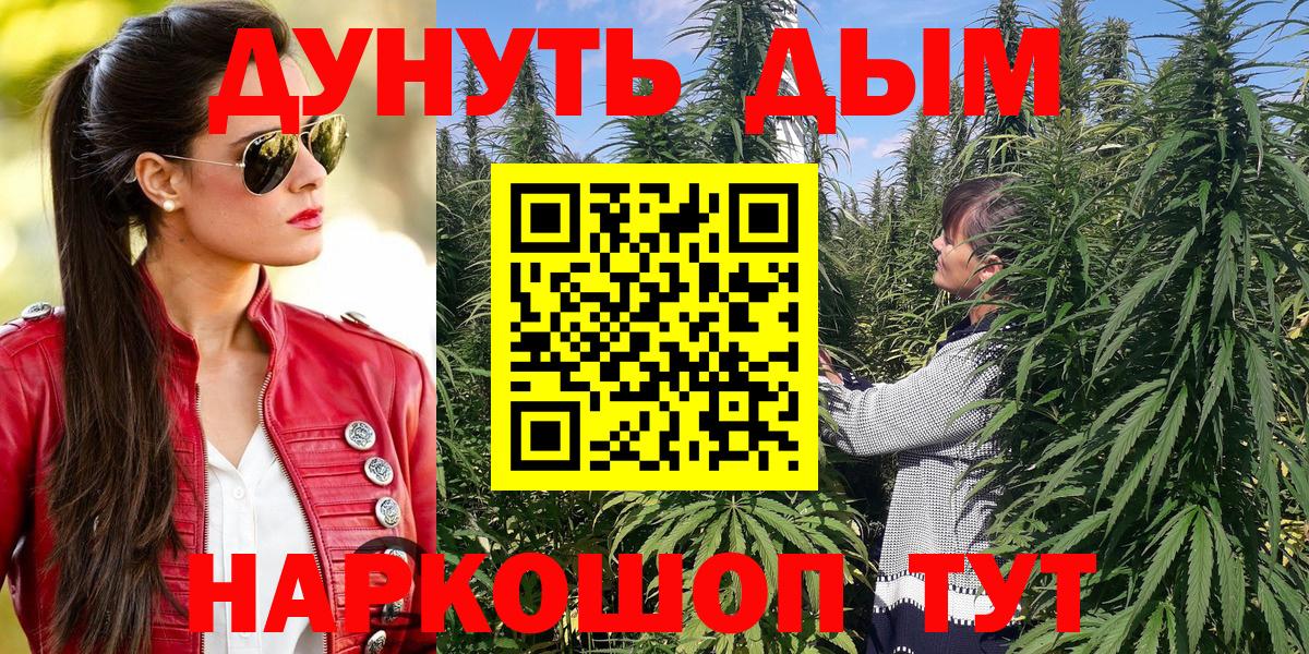 Бошки марихуана Bruce Banner  Каннабис сатива  Конопля Ganja  Ленинск-Кузнецкий  Вход с VPN  Шишки марихуана тримм 